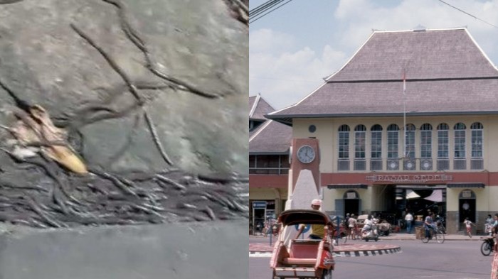 cacing-tanah-yang-hebohkan-warga-pasar-gede-di-solo.jpg