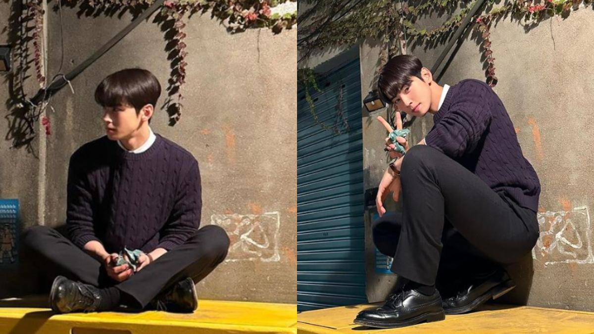 Profil Cha Eunwoo ASTRO, Jadi Pemeran Utama hingga Mengisi OST untuk Drama 'A Good Day to Be a Dog'