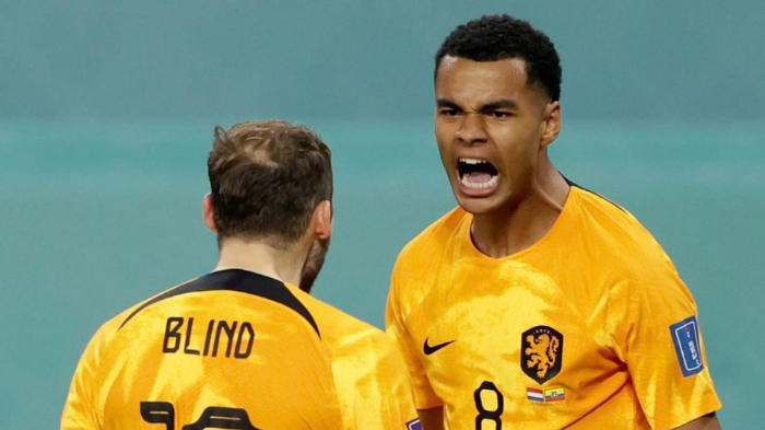 cody-gakpo-berselebrasi-seusai-menjebol-gawang-timnas-ekuador.jpg