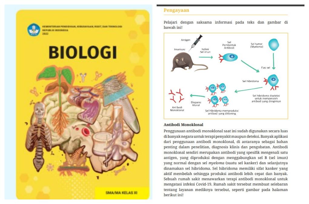 cover-buku-Biologi-SMAMA-kelas-11-bab-5-halaman-165-Kurikulum-Merdeka.jpg