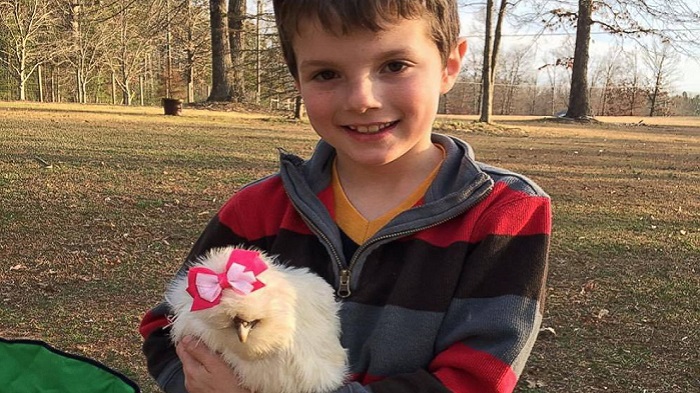 Begini Kisah Darla Si 'Teraphy Chicken' Bikin Kamu Sadar Ingin Jadi Vegetarian