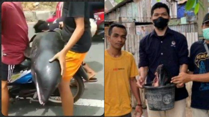 Viral 2 Pemuda di Bima Naik Motor Bawa Lumba-lumba, Akhirnya Dipotong lalu Dibagikan ke Warga