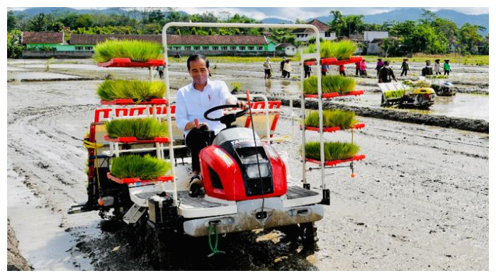 idodo-rabu-1122021-jokowi-tampak-menaiki-mesin-tanam-m.jpg