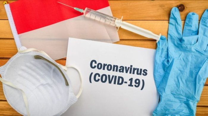 ilustrasi-covid-19-atau-virus-corona.jpg