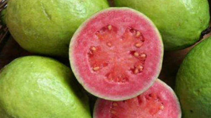 6 Tanaman Herbal Asli Indonesia yang Bikin Imun Kuat di Masa Pandemi Covid-19