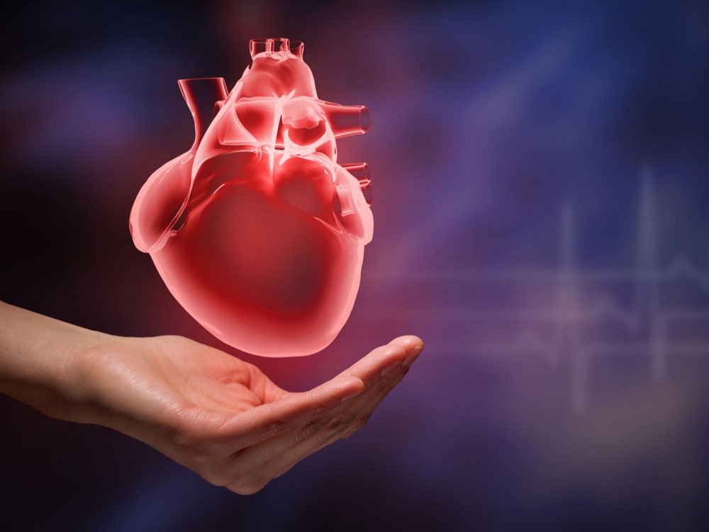 6 Hal Sederhana yang Tingkatkan Kesehatan Jantungmu dan Kurangi Resiko Penyakit Kardiovaskular