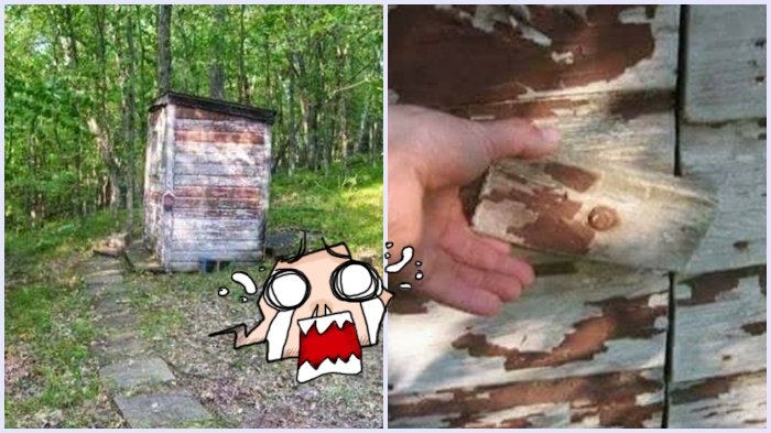 Temukan Jamban di Tengah Hutan, Seorang Pria Nekat Masuk, Ternyata Isinya. . .