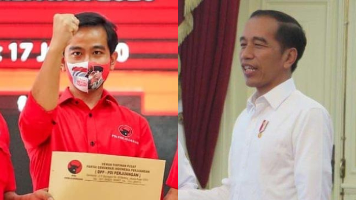 kolase-foto-gibran-rakabuming-raka-dan-joko-widodo-jokowi.jpg