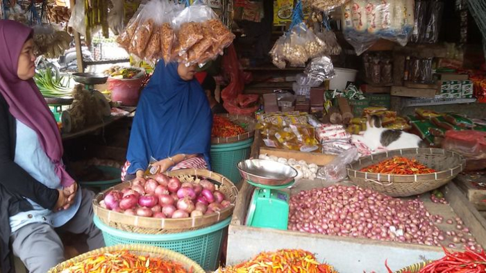 Menteri Pertanian Jamin Harga Pangan Tetap Stabil Jelang Lebaran 2019