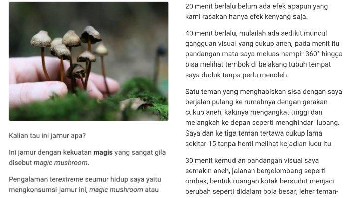 Sempat Viral Pria Ngaku Berhalusinasi setelah Makan Magic Mushroom, Ternyata Mengandung Psikotropika