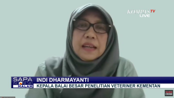 Akui Tak Pakai Anggaran Besar untuk Riset Kalung Antivirus, Kementan: Apalagi Memproduksi Massal