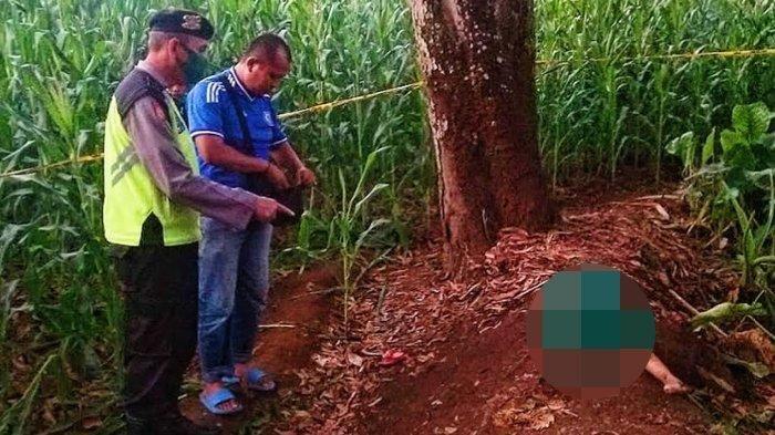 polisi-mendatangi-lokasi-penemuan-mayat-perempuan-berusia-5-tahun-di-kejayan-pasuruan.jpg
