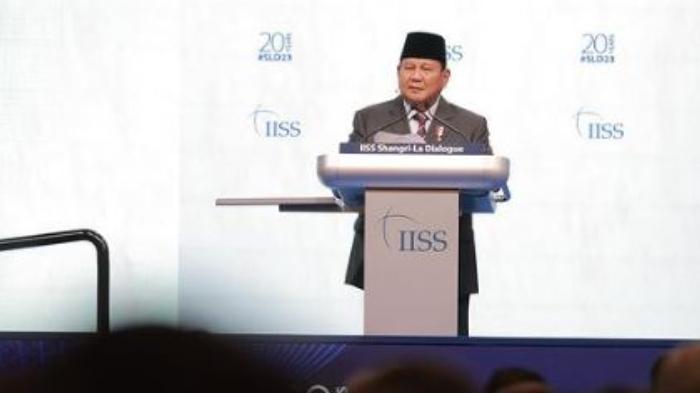 Deklarasi Berani Prabowo Desak Ukraina dan Rusia Segera Berdamai, Ungkap 5 Poin dan Singgung PBB