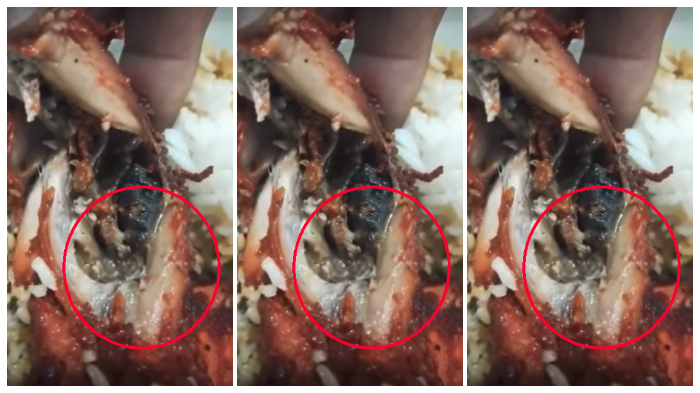 seorang-wanita-menemukan-cacing-di-dalam-ayam-goreng_20170730_154133.jpg
