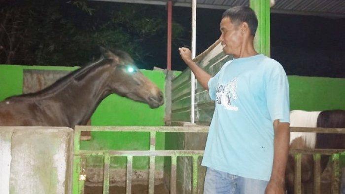 sunardi-bersama-kuda-peliharaannya-di-peternakan-sor-talok-stable.jpg