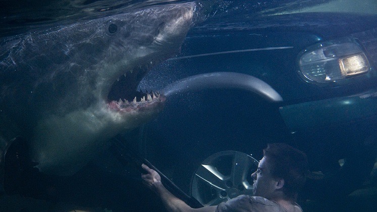 Sinopsis Film 'Bait' Dibintangi Xavier Samuel, Tayang Malam Ini 23.00 WIB di Bioskop TRANS TV