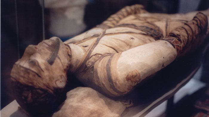 Bikin Penasaran Netizen, 8 Penemuan Paling Misterius yang Tak Sengaja Didapati