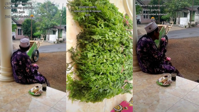 viral-kakek-penjual-sayur-iyem-di-jember-jawa-timur1.jpg
