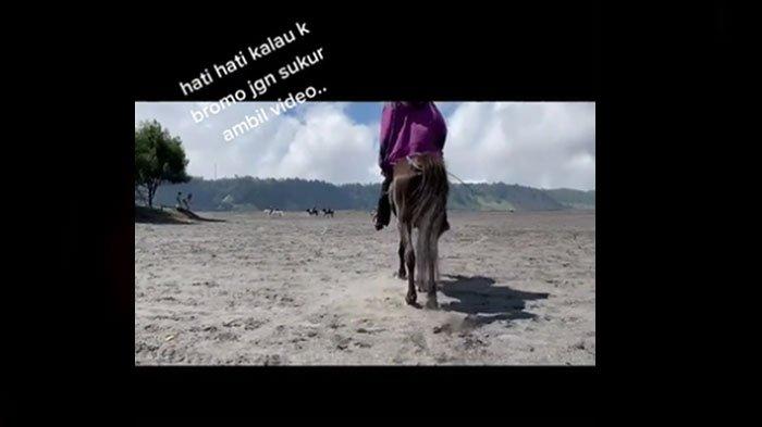 viral-yang-menampilkan-wisatawan-gunung-bromo-diminta-uang-kuda.jpg