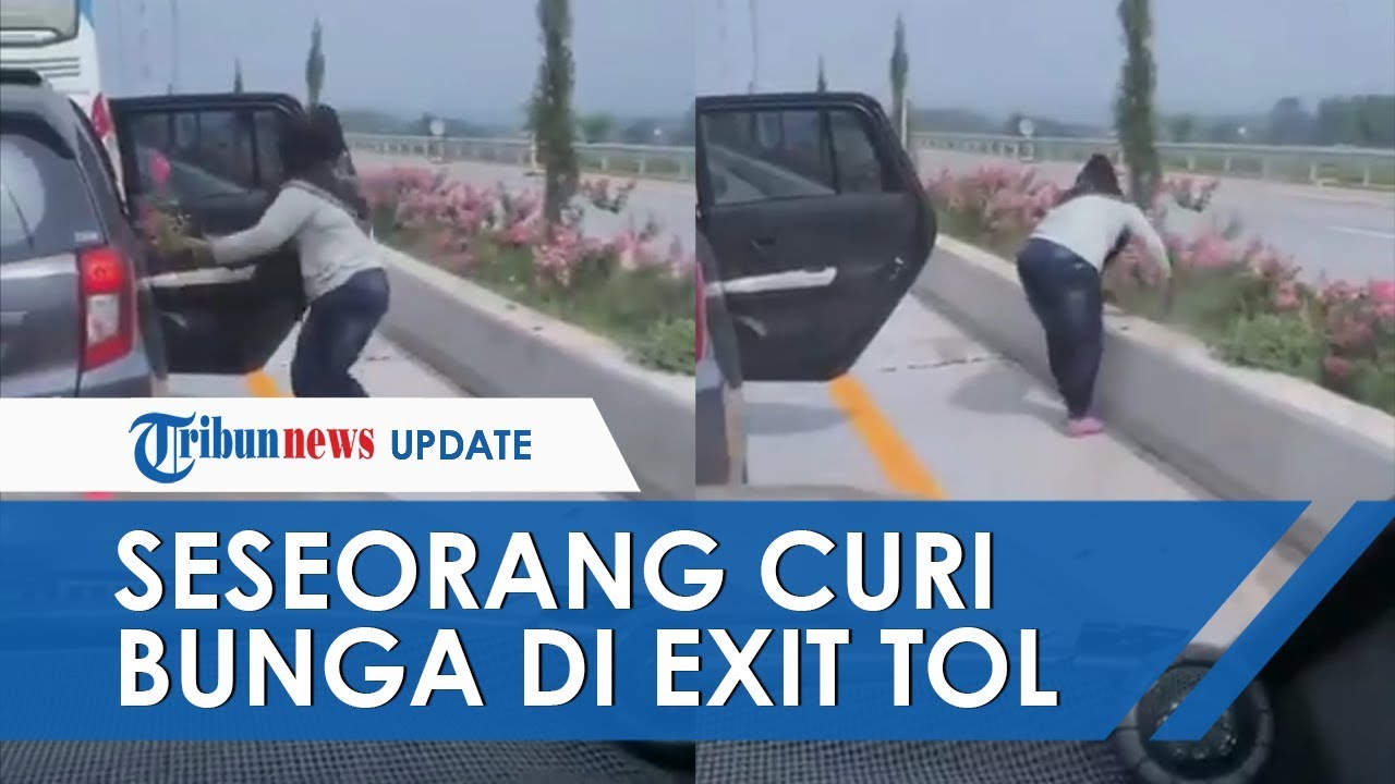 wanita-curi-bunga-sepatu-di-pinggil-jalan-tol.jpg