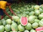Pedagang-menata-buah-semangka-yang-dijualnya-di-Jl-Denai-Medan-Rabu-11052011.jpg