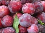 buah-plum_20170929_141737.jpg