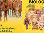 cover-bio-8.jpg