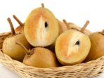 ilustrasi-buah-sawo-manfaat.jpg