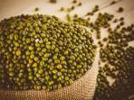 kacang-hijau.jpg