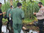 kecelakaan-karena-pohon-tumbang.jpg