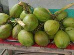 kelapa-muda.jpg