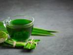 pandan.jpg