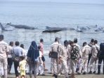 paus-di-aceh_20171114_092433.jpg