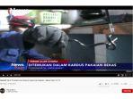 penemuan-ular-kobra-di-purwakarta.jpg