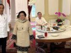 pertemuan-ketua-umum-megawati-soekarnoputri-dengan-presiden-joko-widodo-jokowi.jpg