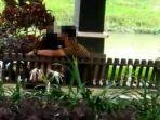 potongan-video-sepasang-remaja-yang-menghebohkan-di-kecamatan-tulungagung.jpg