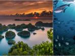raja-ampat.jpg