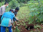 tanah-amblas-atau-sinkhole-yang-terjadi-di-ladang-milik-warga-di-gunungkidul.jpg