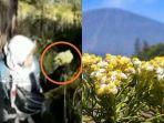 viral-video-pendaki-petik-bunga.jpg